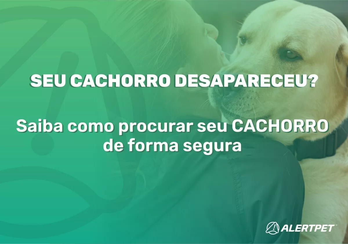 como procurar seu cachorro desaparecido. 20 dicas de como procurar seu cachorro perdido
