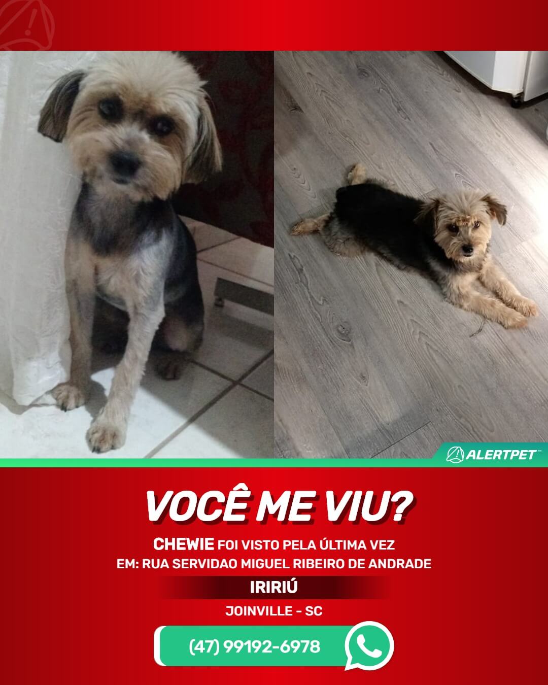 yorkshire desaparecido joinville