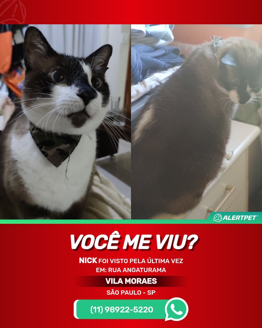 nick gato perdido desaparecido sao paulo vila moraes