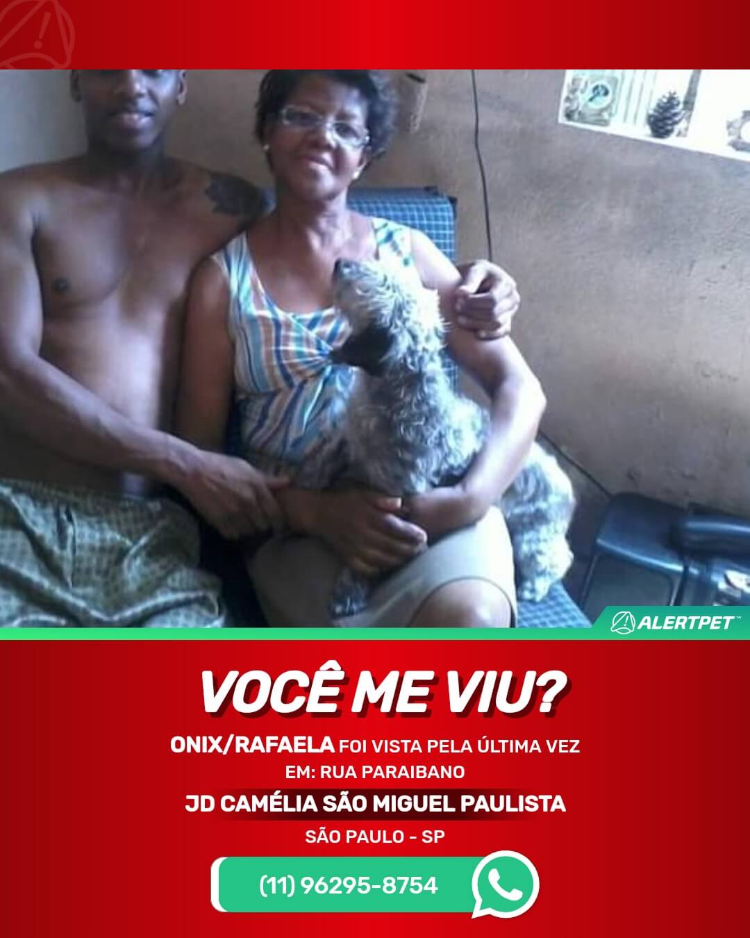 cachorro desaparecido são paulo