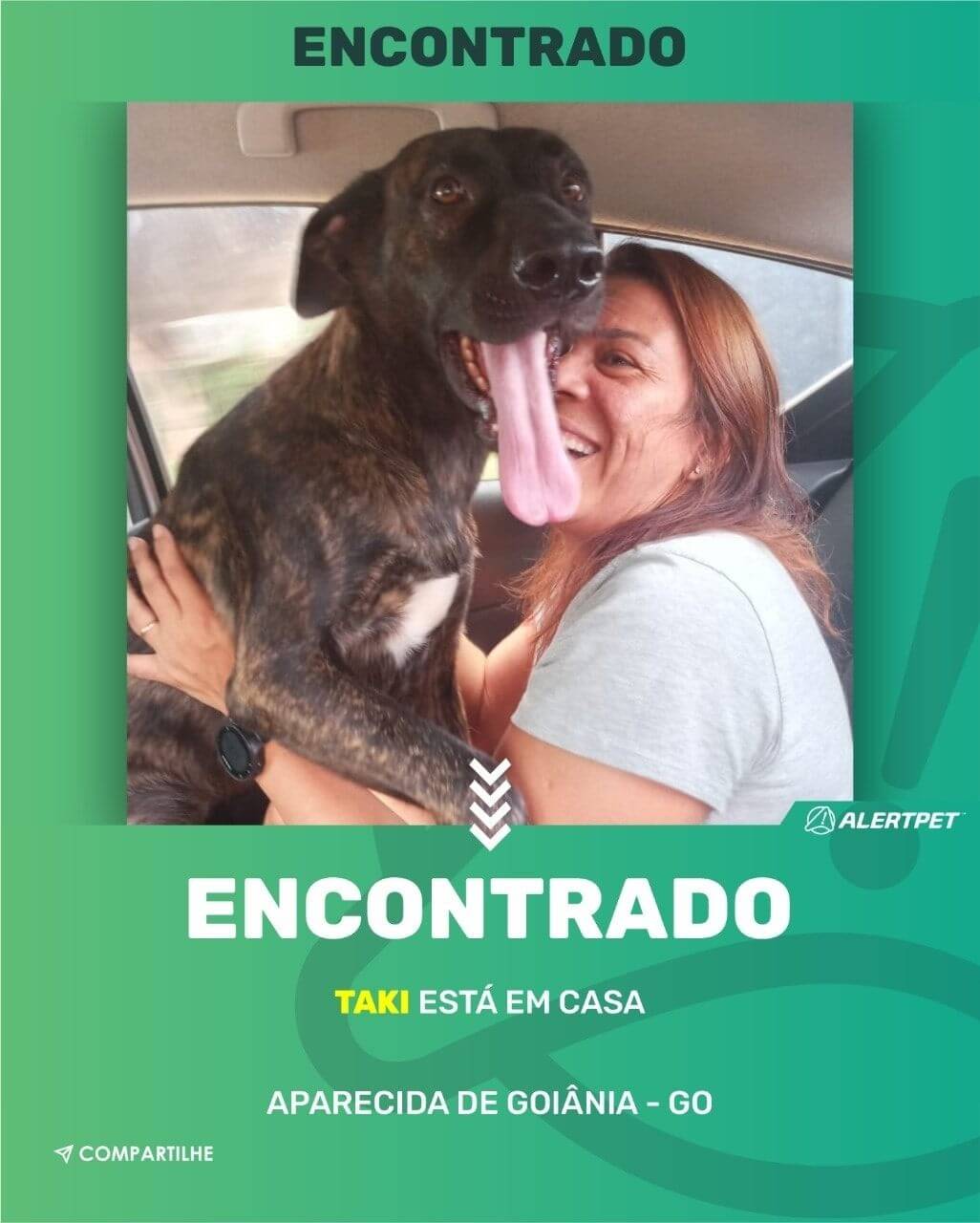 CACHORRO PERDIDO APARECIDA DE GOIANIA