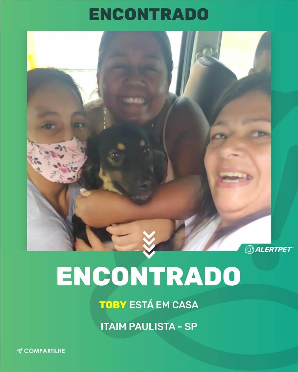 cachorro perdido são paulo