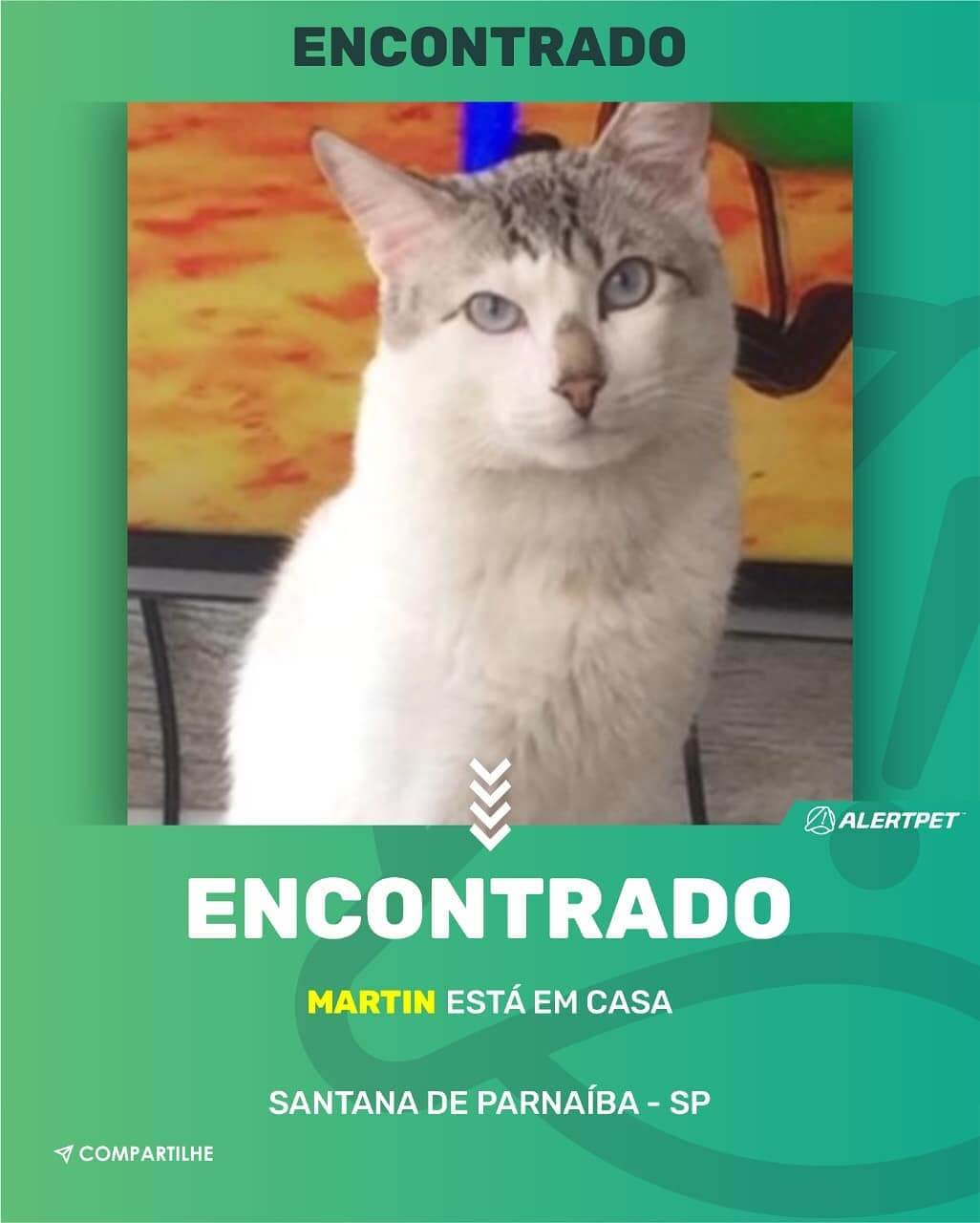 pet perdido santana de parnaiba