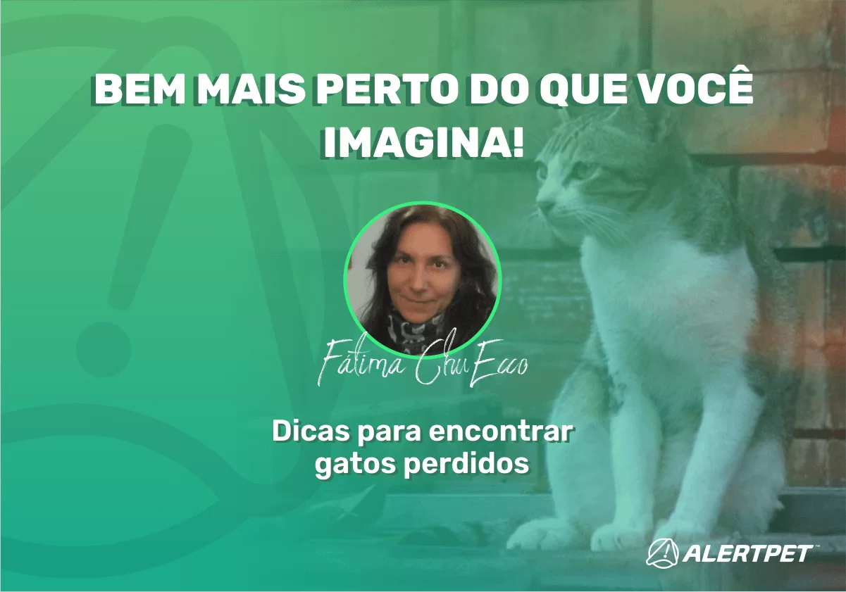 Alertpet capa blog FATIMA DICAS GATOS 3