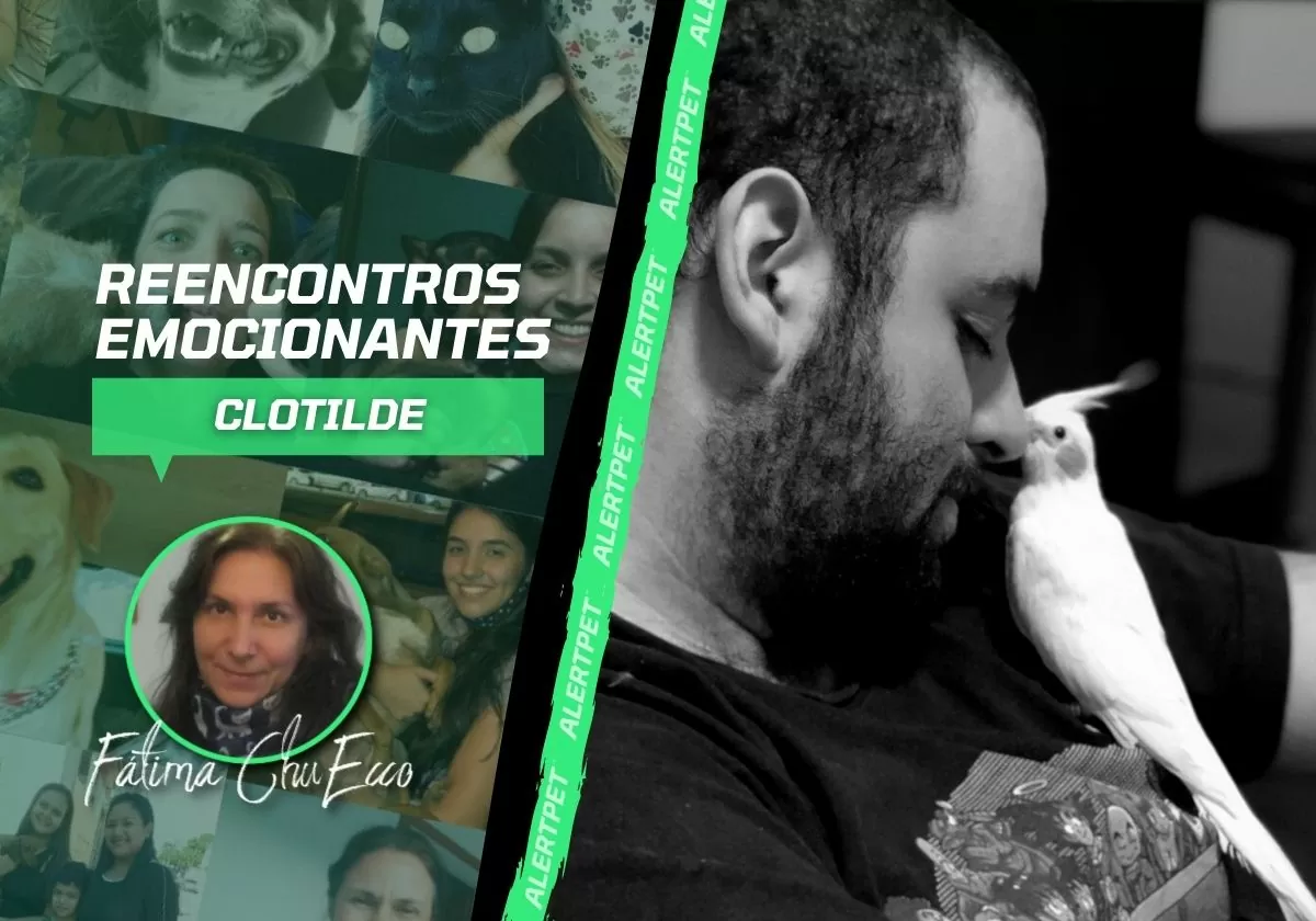 CAPA DO BLOG REENCONTROS-10