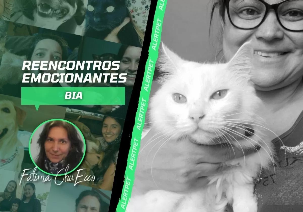 CAPA DO BLOG REENCONTROS-8