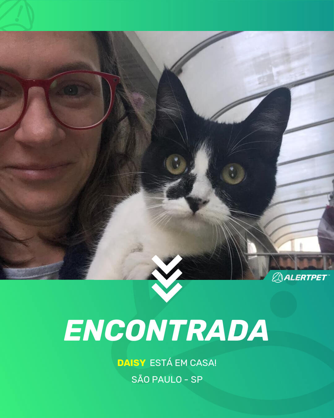 daisy gato desaparecido sao paulo 18 05 2021 found image