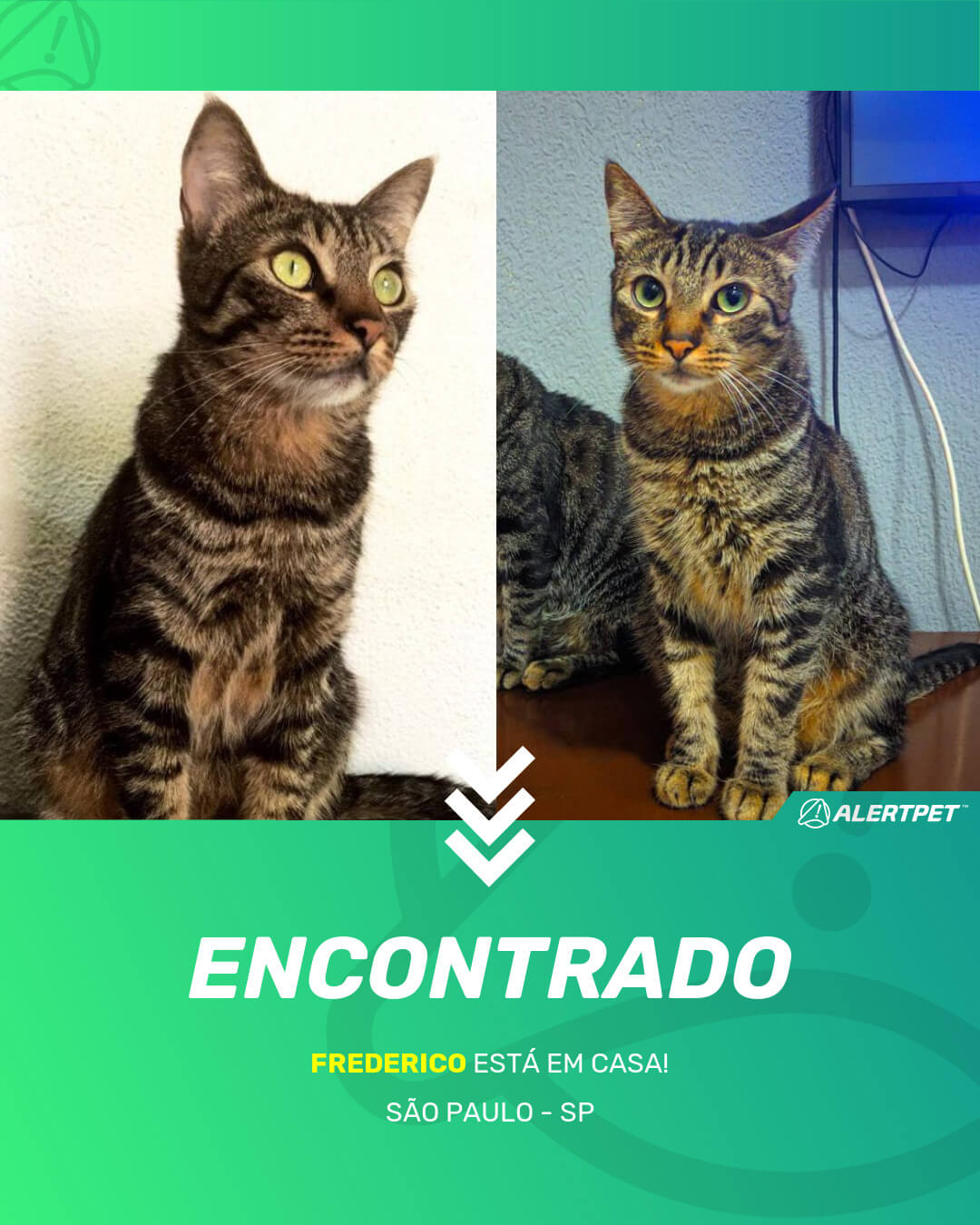 frederico gato desaparecido sao paulo 19 05 2021 found image
