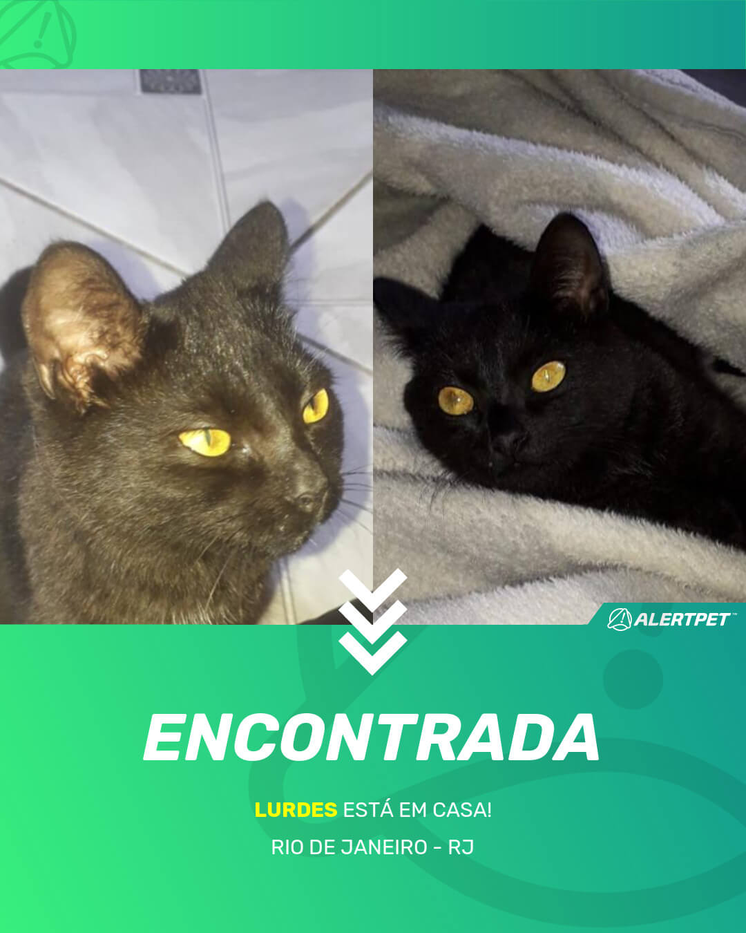 lurdes gato desaparecido rio de janeiro 20 05 2021 found image