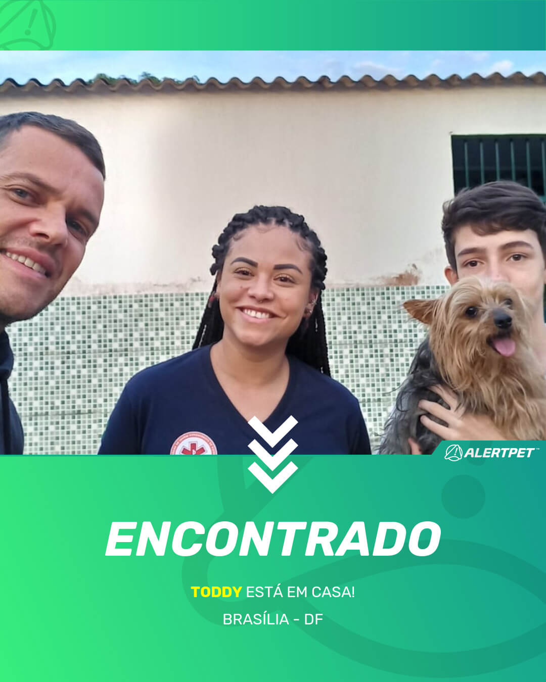 toddy cachorro desaparecido brasilia 18 05 2021 found image