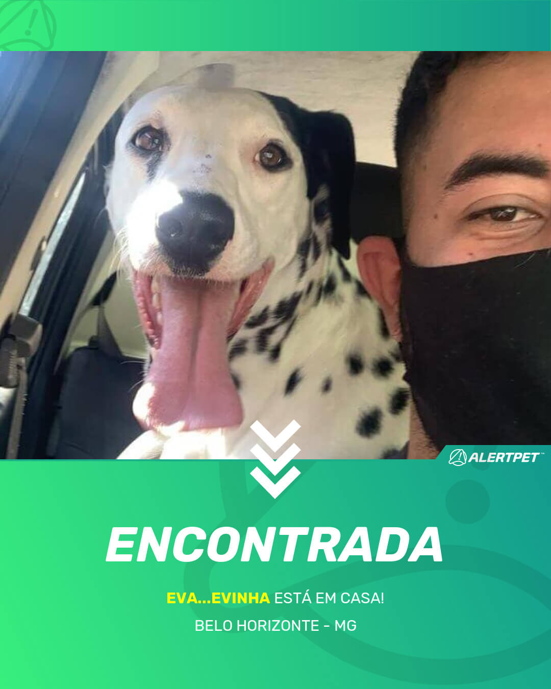 eva evinha cachorro desaparecido belo horizonte 20 05 2021 found image