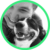 alertpet Hannah alertpet Hannah