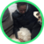 alertpet max alertpet max