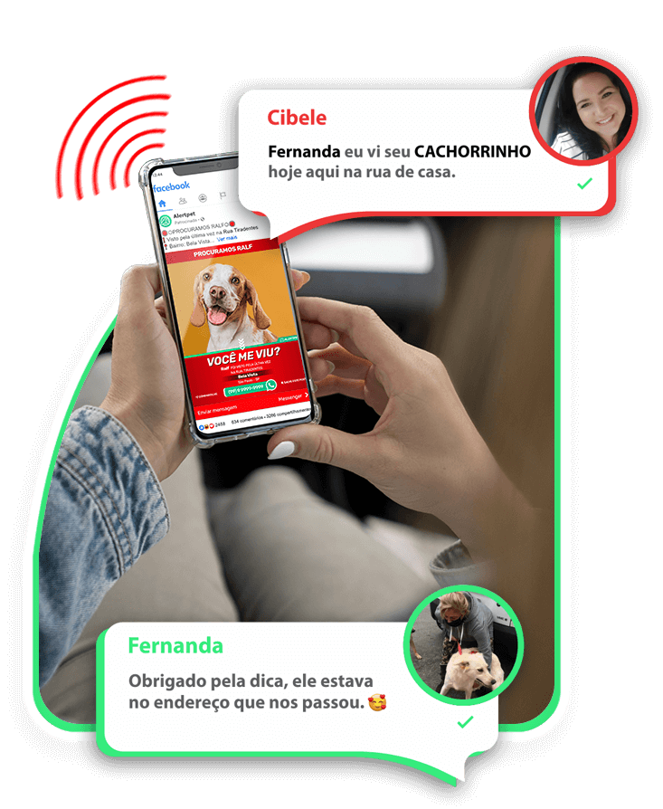 cachorro-perdido-alerta-alertpet2
