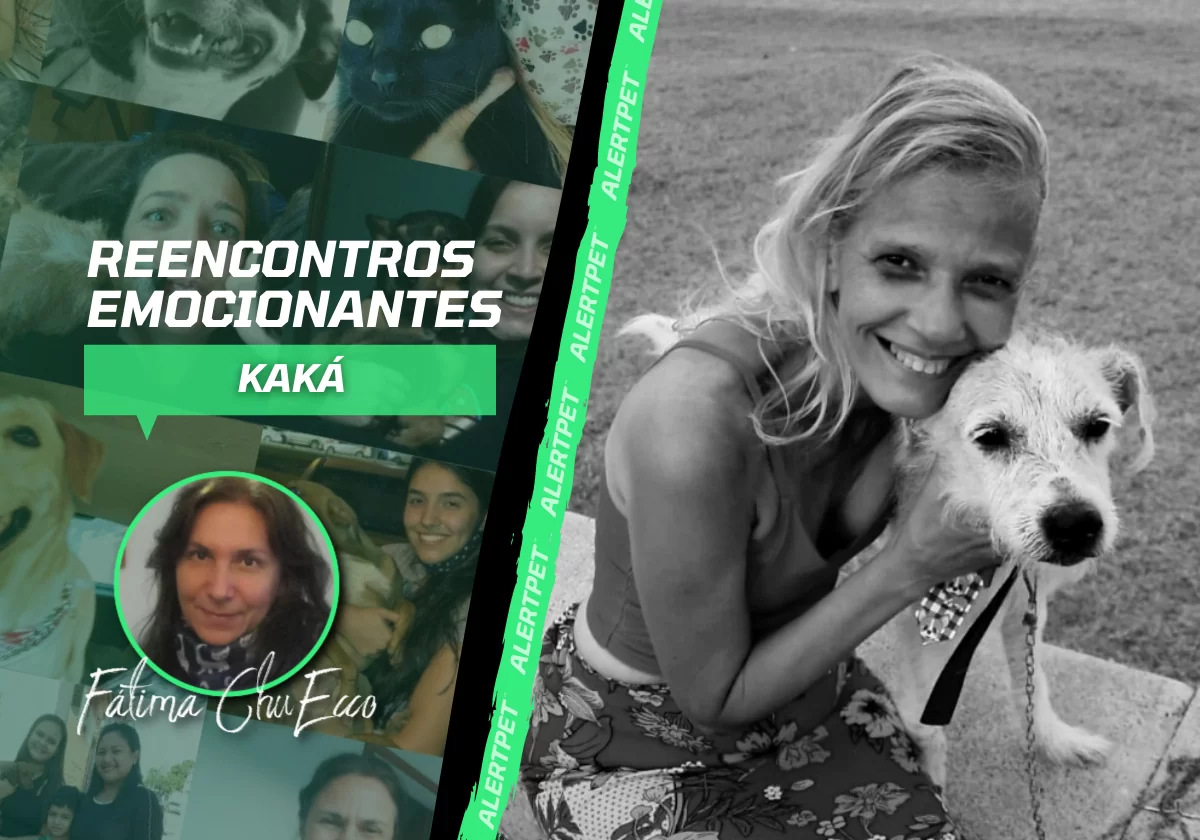CAPA DO BLOG REENCONTROS