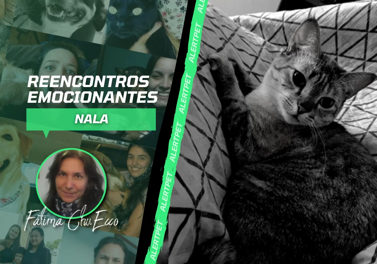 CAPA DO BLOG REENCONTROS(2)