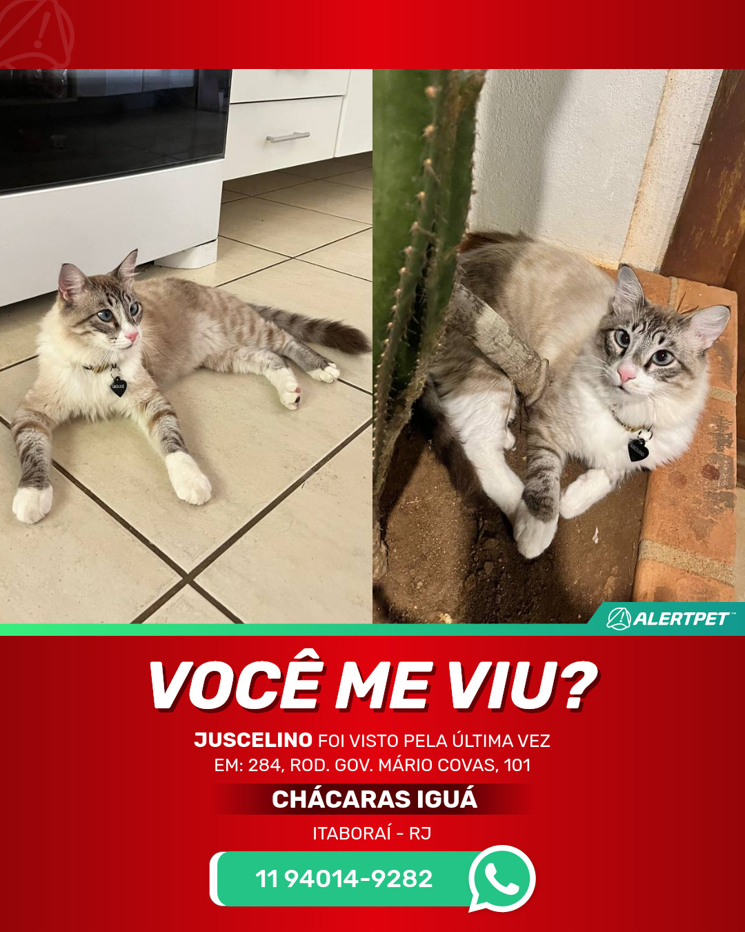 Animalu  Itaboraí RJ