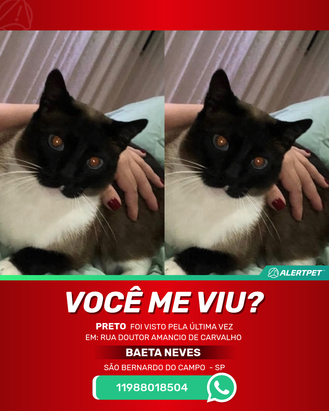 Conheça o jogo onde você é um gato preto perdido numa cidade grande