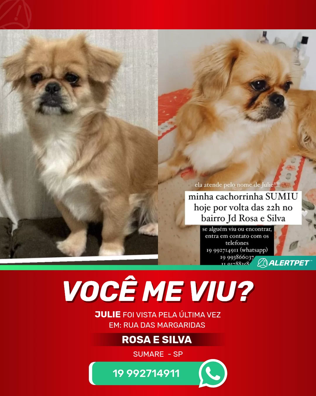 A Sumi tinha sumido, mas agora ela voltou!