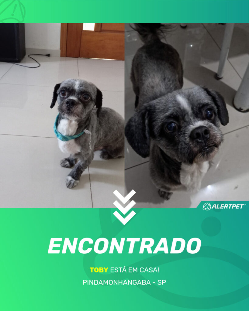 toby-cachorro-desaparecido-pindamonhangaba-18-08-2025_found_image