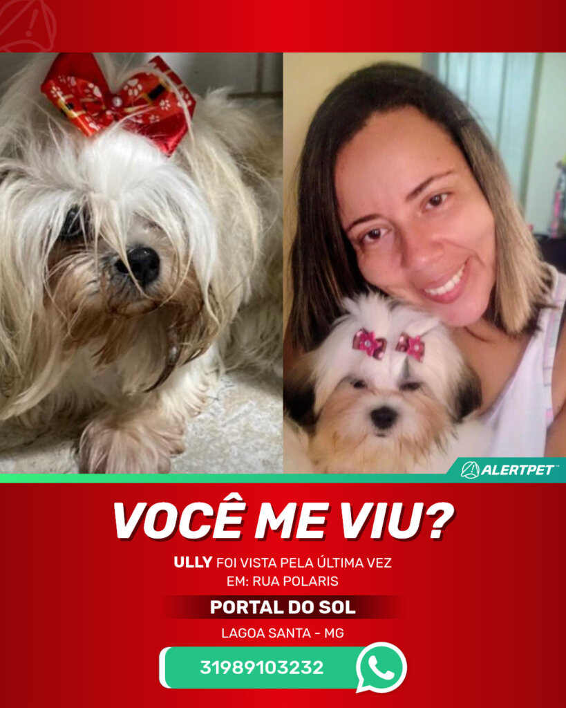 ully-cachorro-desaparecido-lagoa-santa-12-09-2025_lost_image
